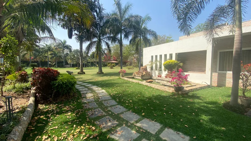 GREEN HEAVEN